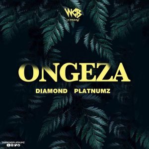 Diamond Platnumz - Ongeza