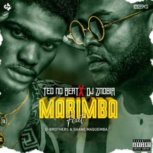 Teo No Beatz X Dj Znobia - Marimba (feat. D.Brothers & Shane Maquemba)