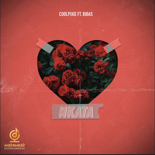 CoolPixie - Nkata (feat. Bibas)