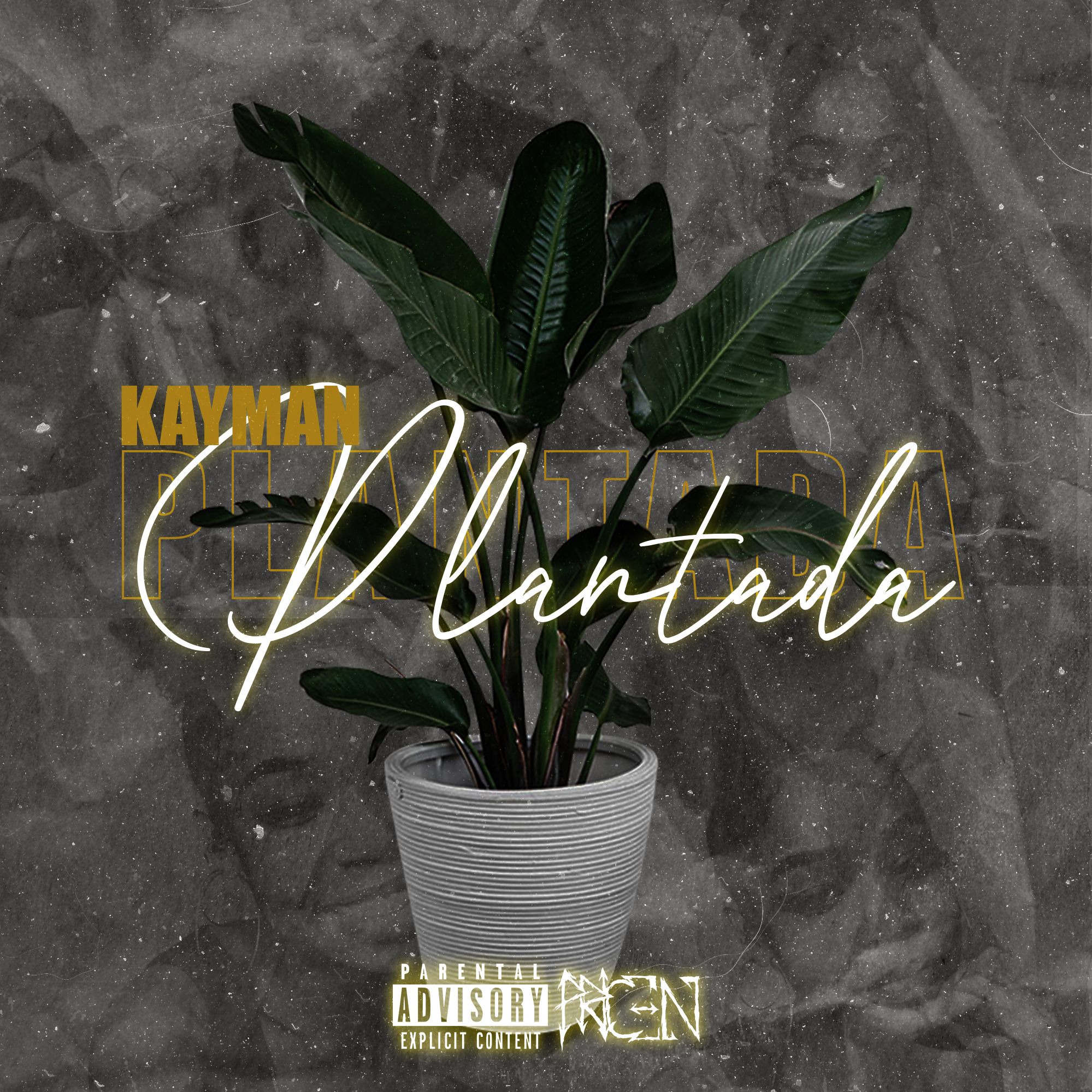 Kayman - Plantada